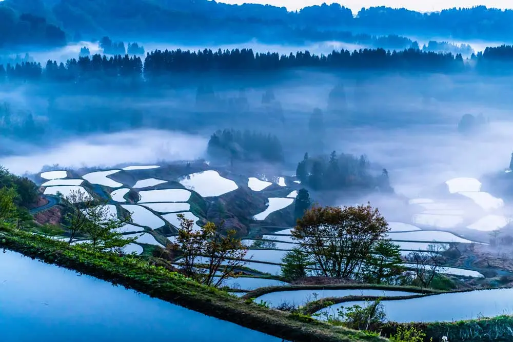 新潟県　田園風景