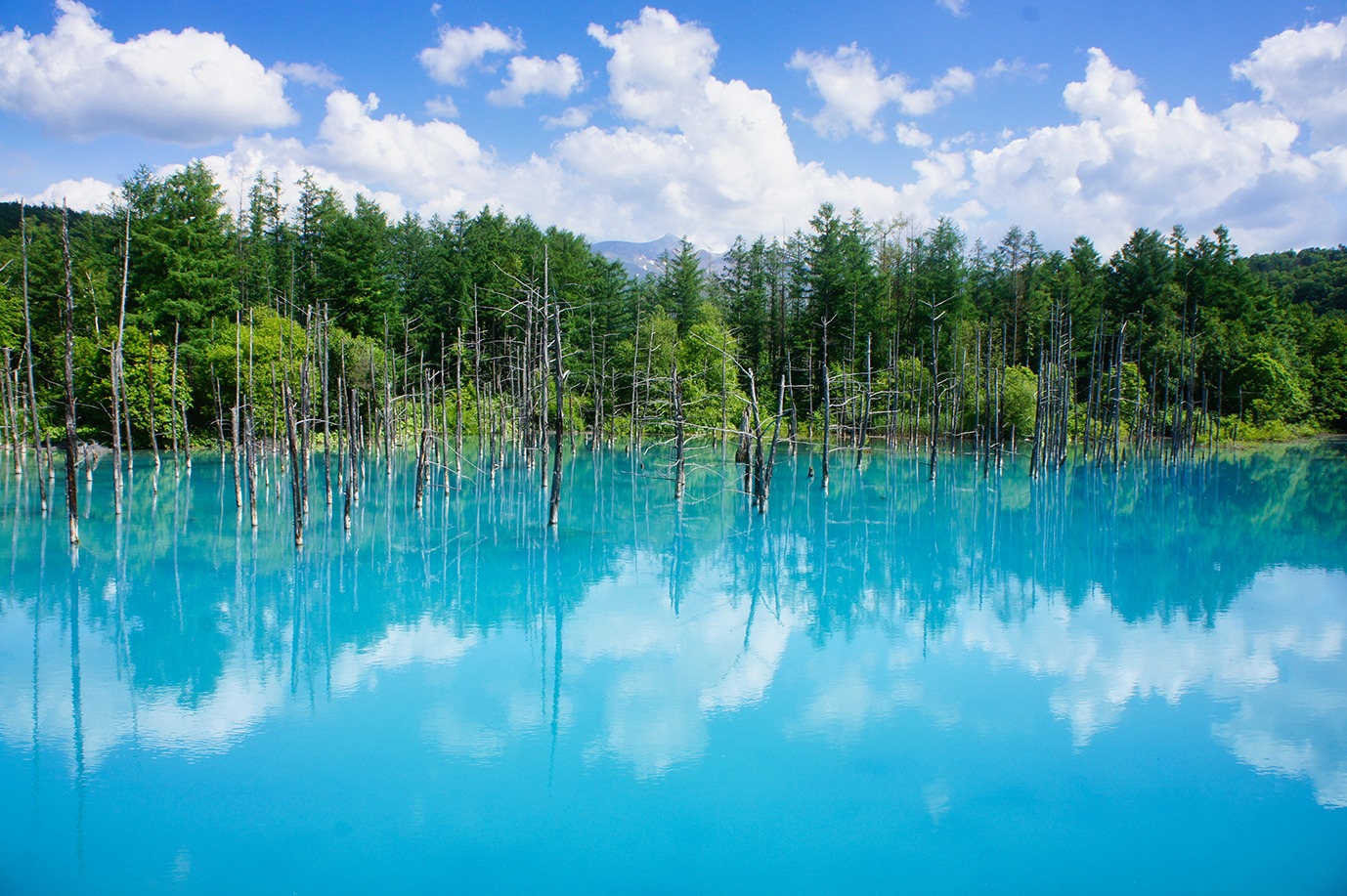 Blue Pond (青い池・Biei)