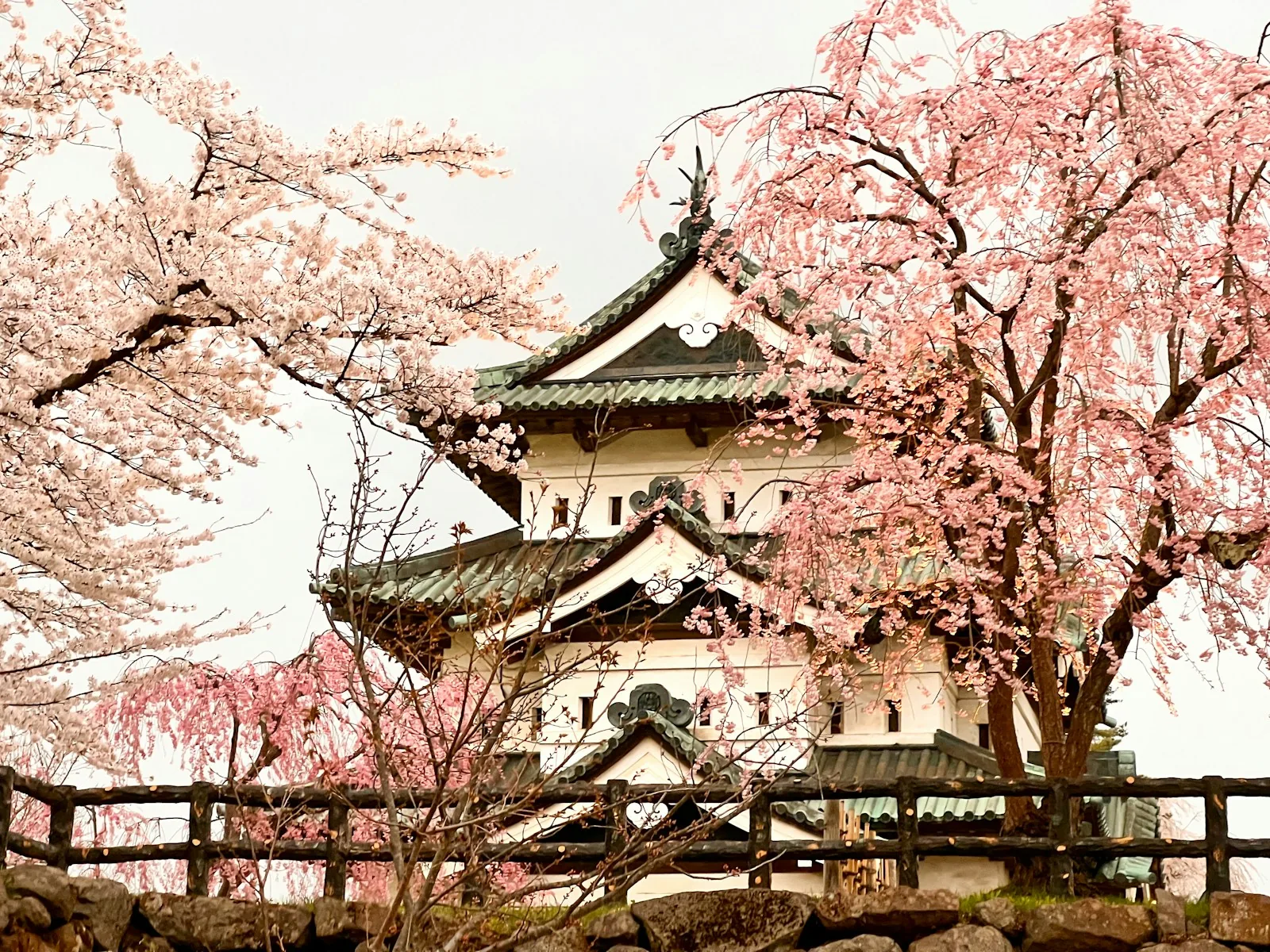 Hirosaki Castle (Photo via PhotoAC)