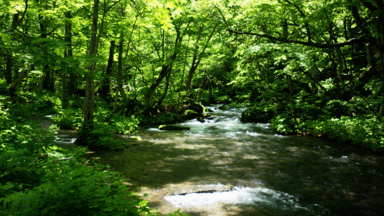 Oirase Stream