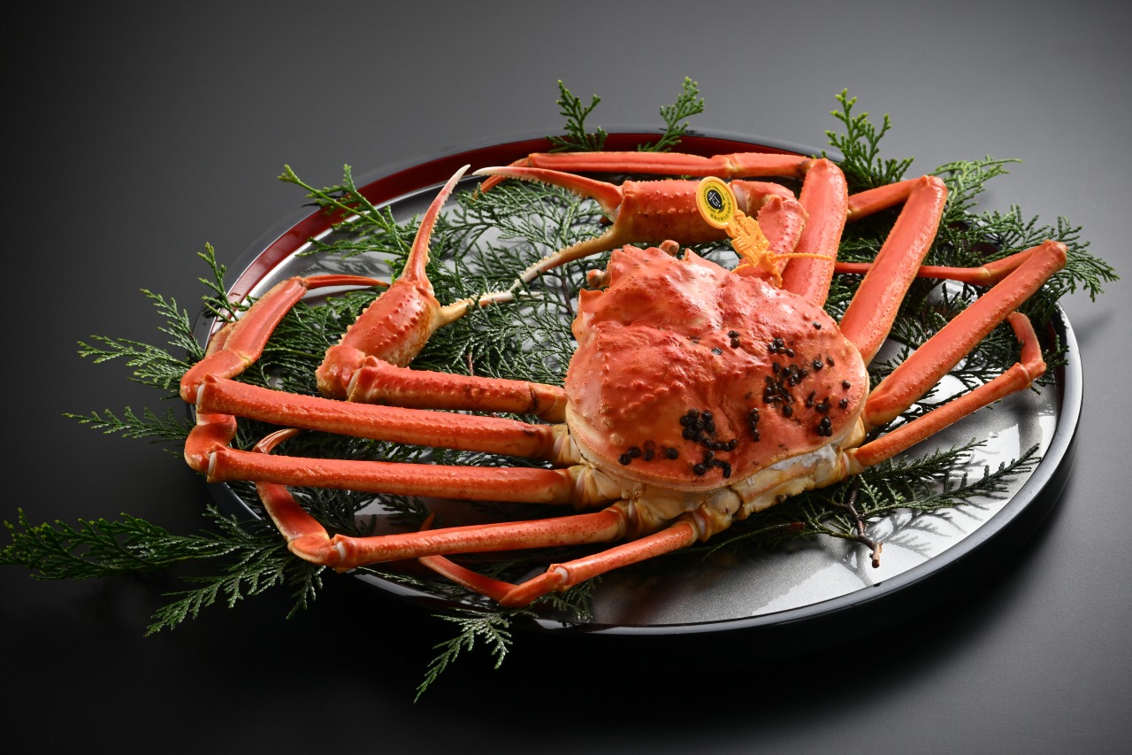 Echizen Crab