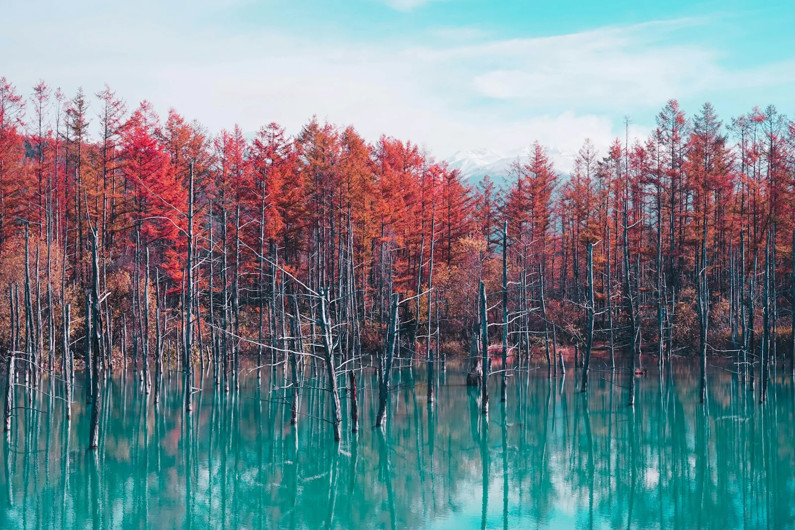 Goshikinuma Lakes (Photo via PhotoAC)