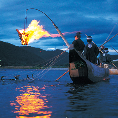 Ukai Cormorant Fishing