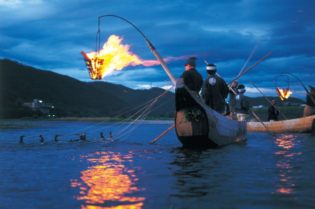 Ukai Cormorant Fishing