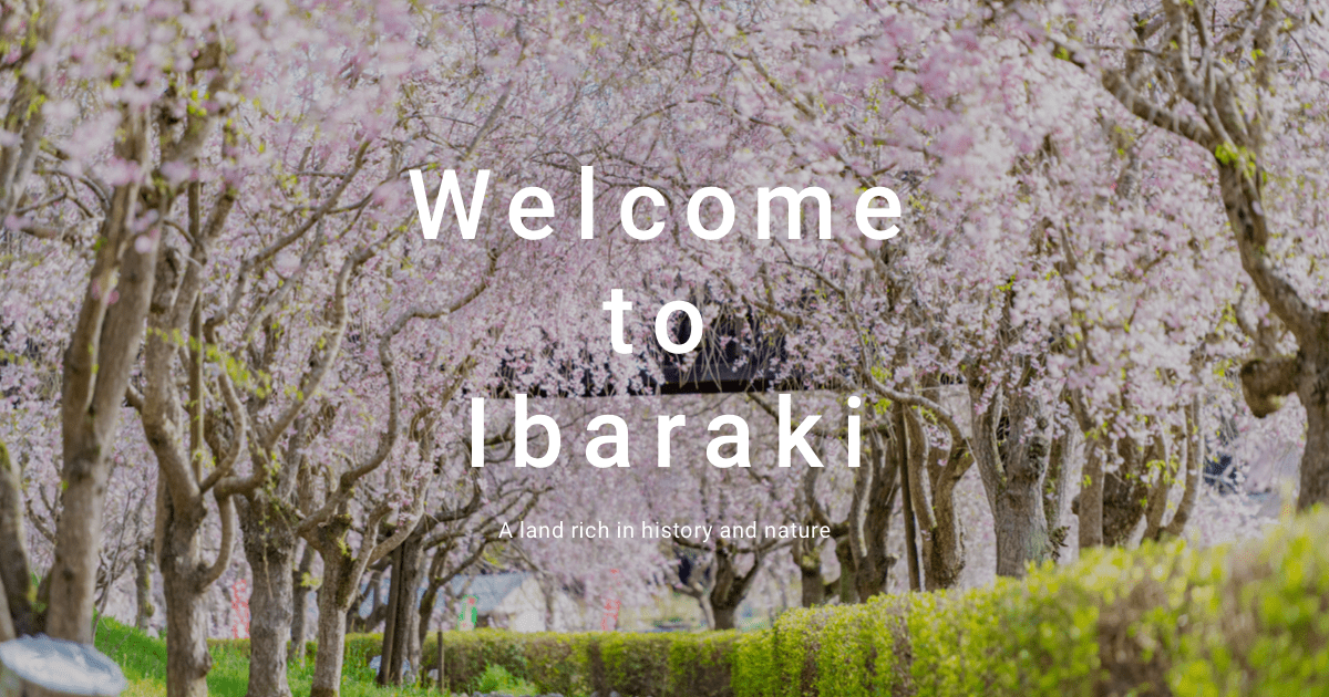 Nakaminato Fish Market