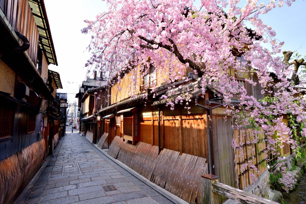 Gion lanterns and machiya townhouses