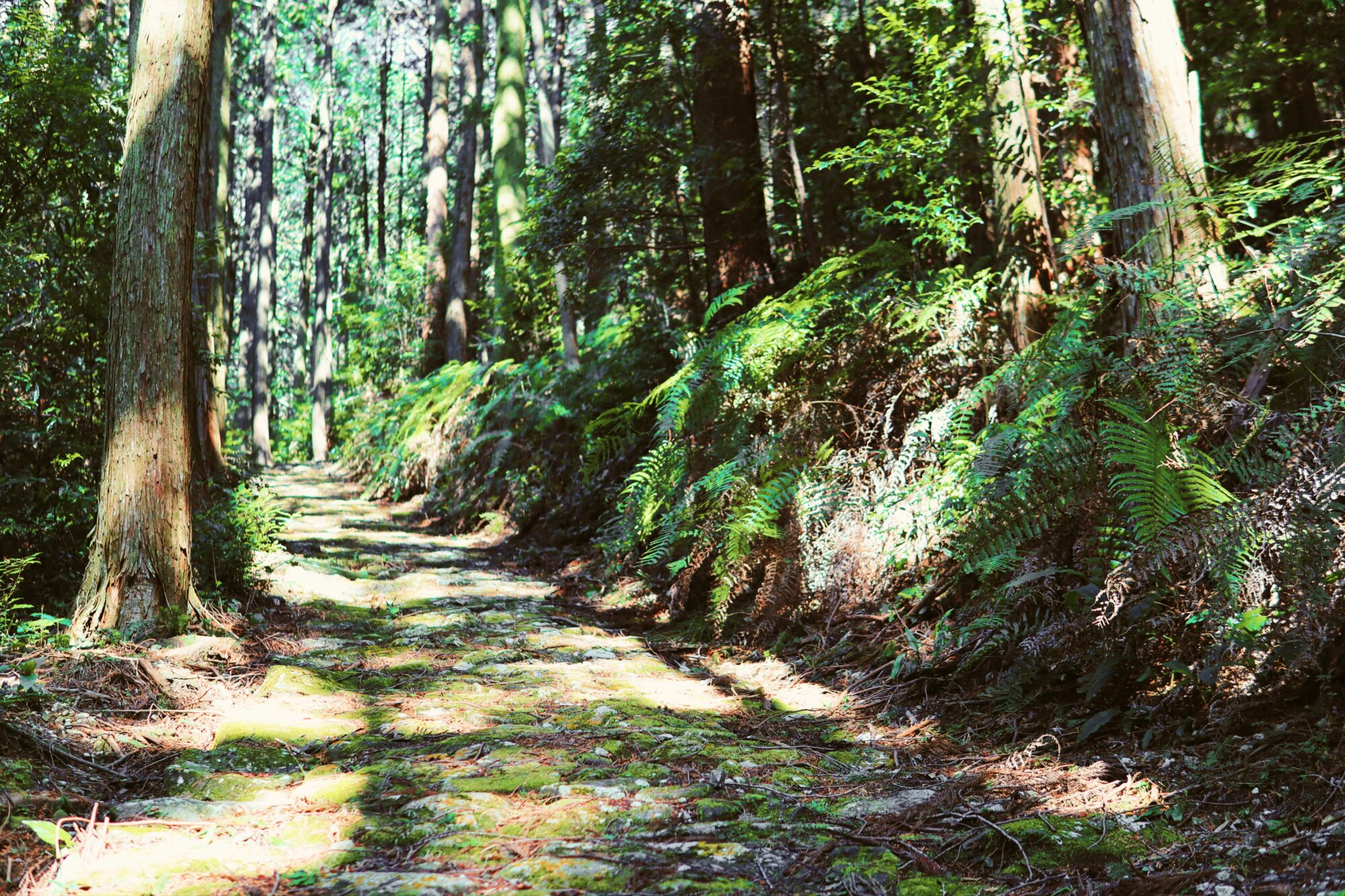 Kumano Kodo Iseji