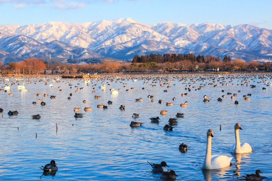Shirouma Tidal Flat — Fureai Park