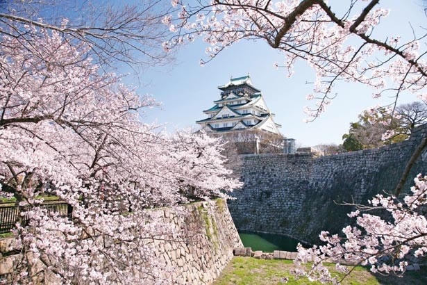 Osaka Castle night view illuminated