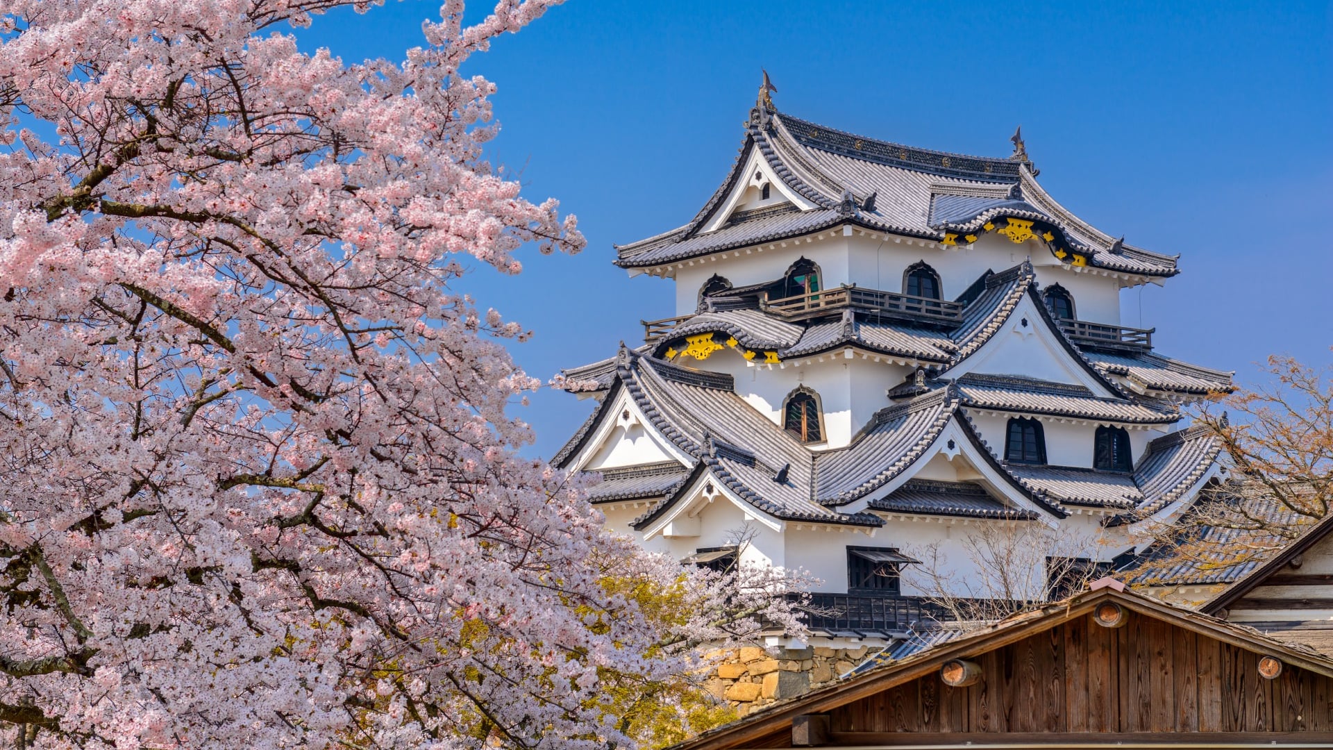 Hikone Castle