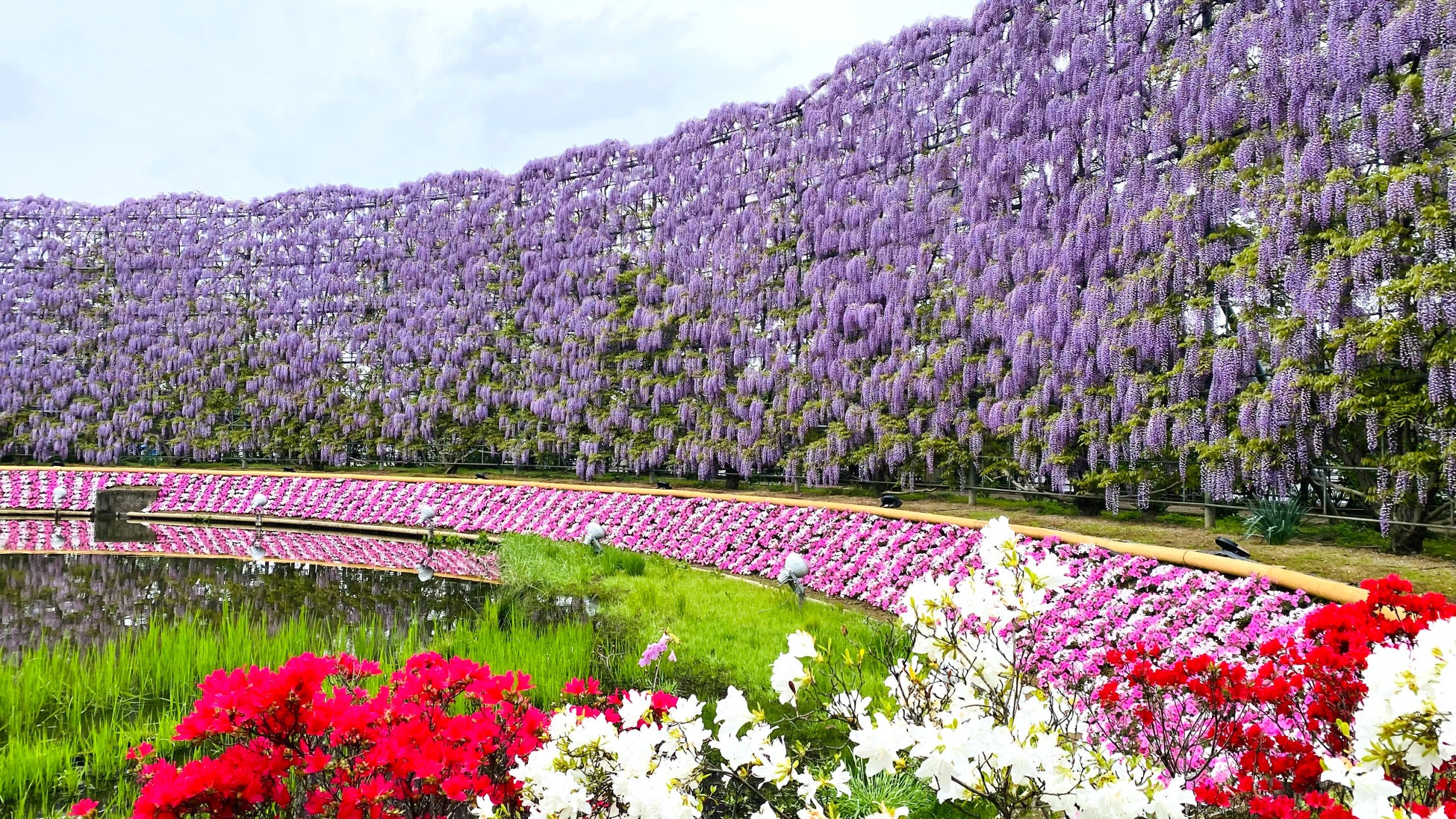 Ashikaga Flower Park