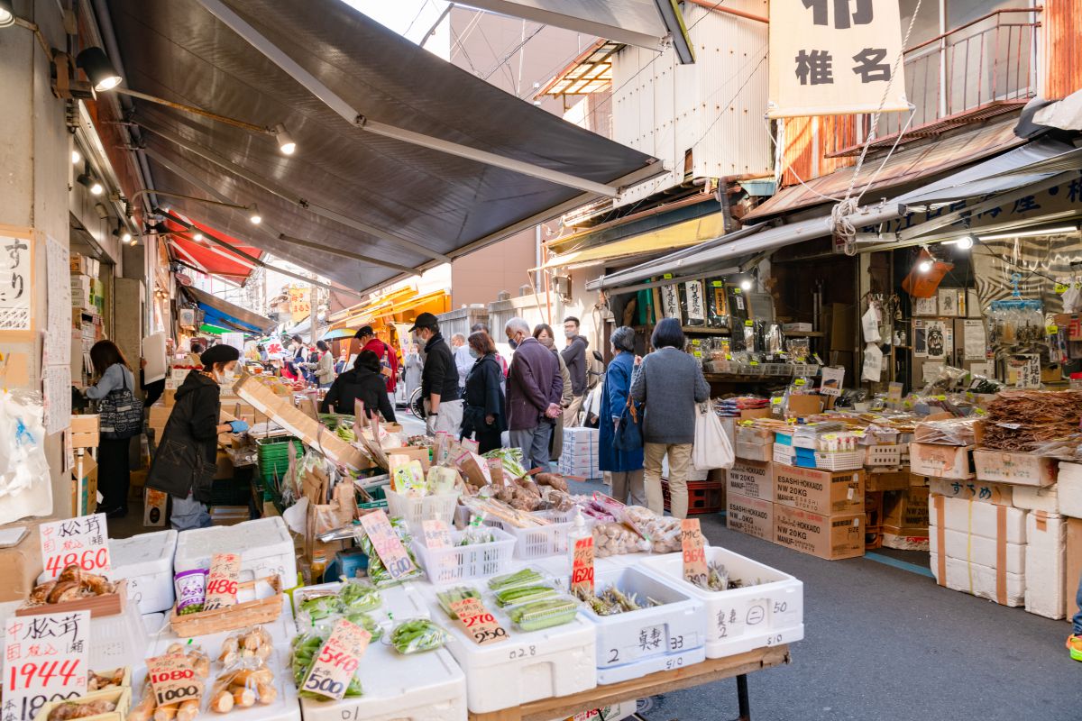 Tsukiji Market fresh seafood