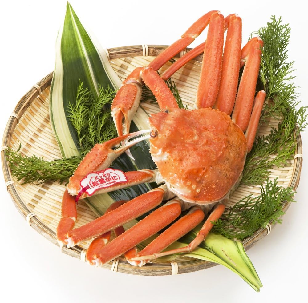 Matsuba Crab