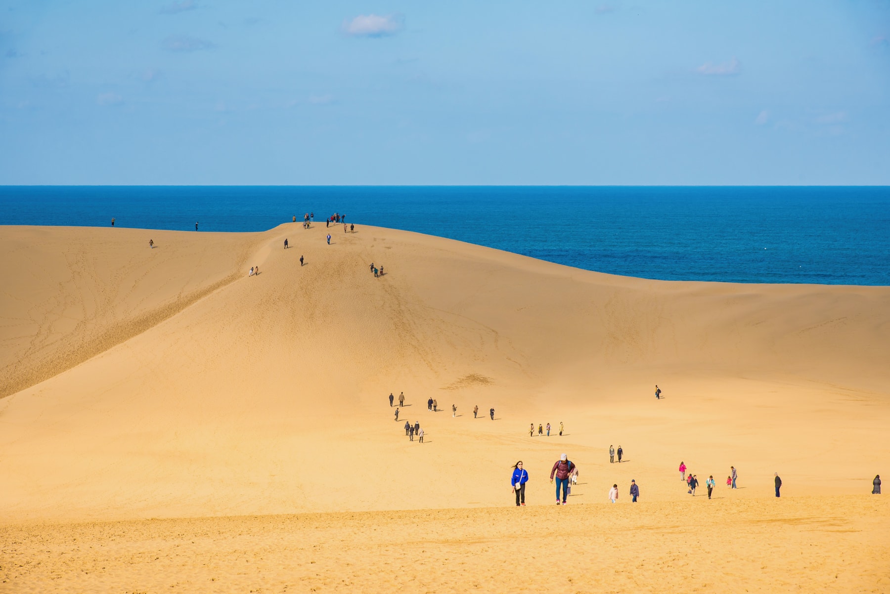 Tottori Sand Dunes