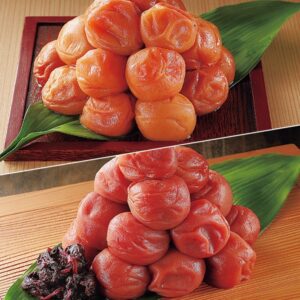 Wakayama (和歌山県)