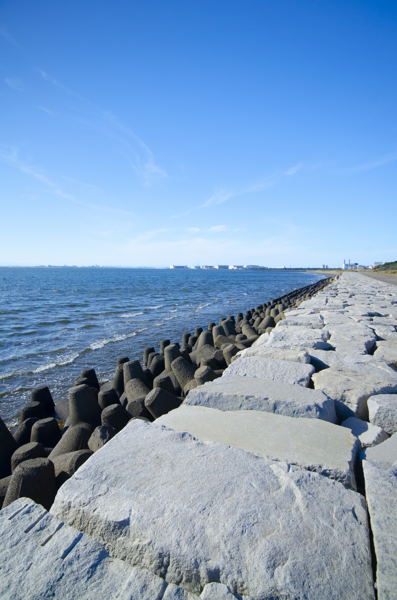 Makuhari Seaside Park (Photo via PhotoAC)