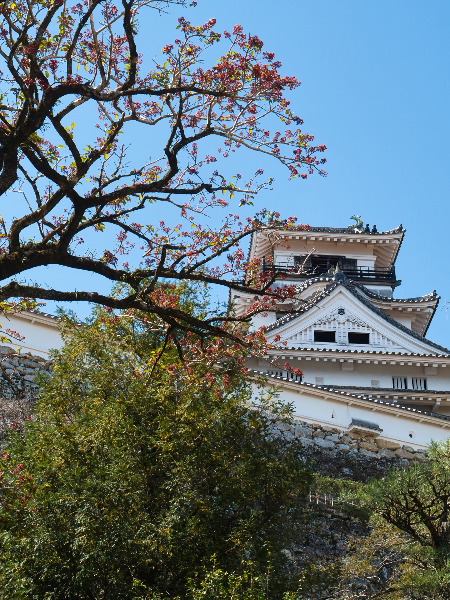 Kochi Castle (Photo via PhotoAC)