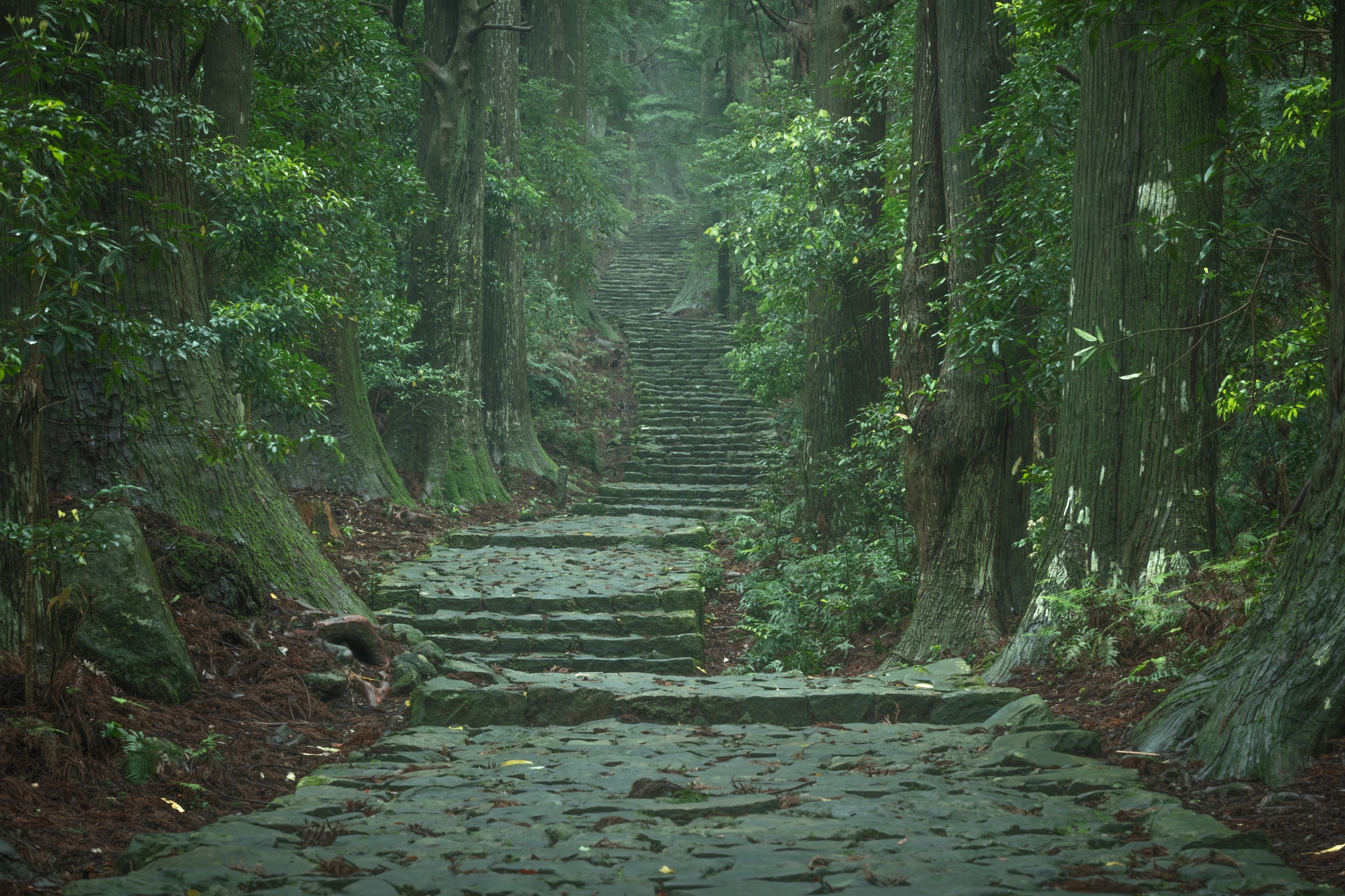 Kumano Kodo Nakahechi (Photo via PhotoAC)